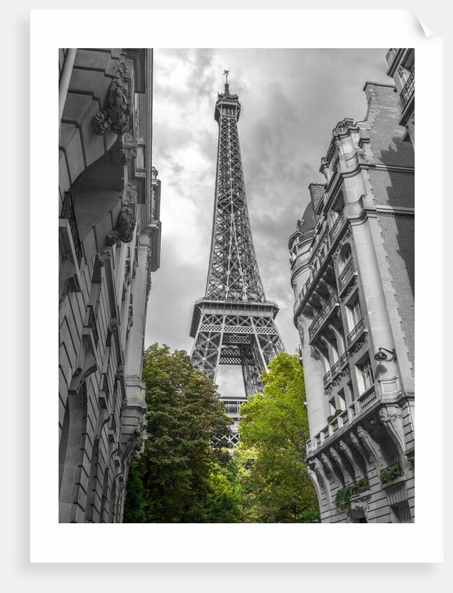 Eiffel Tower, Paris by Assaf Frank